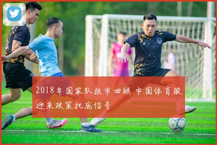 2018年国家队救市回顾 中国体育股迎来政策托底信号