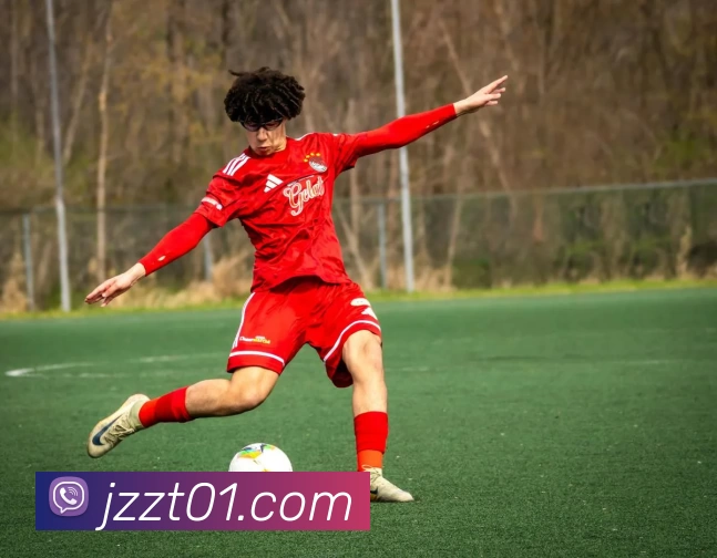 三亿体育网页版登录入口(China)官方网站发展历程