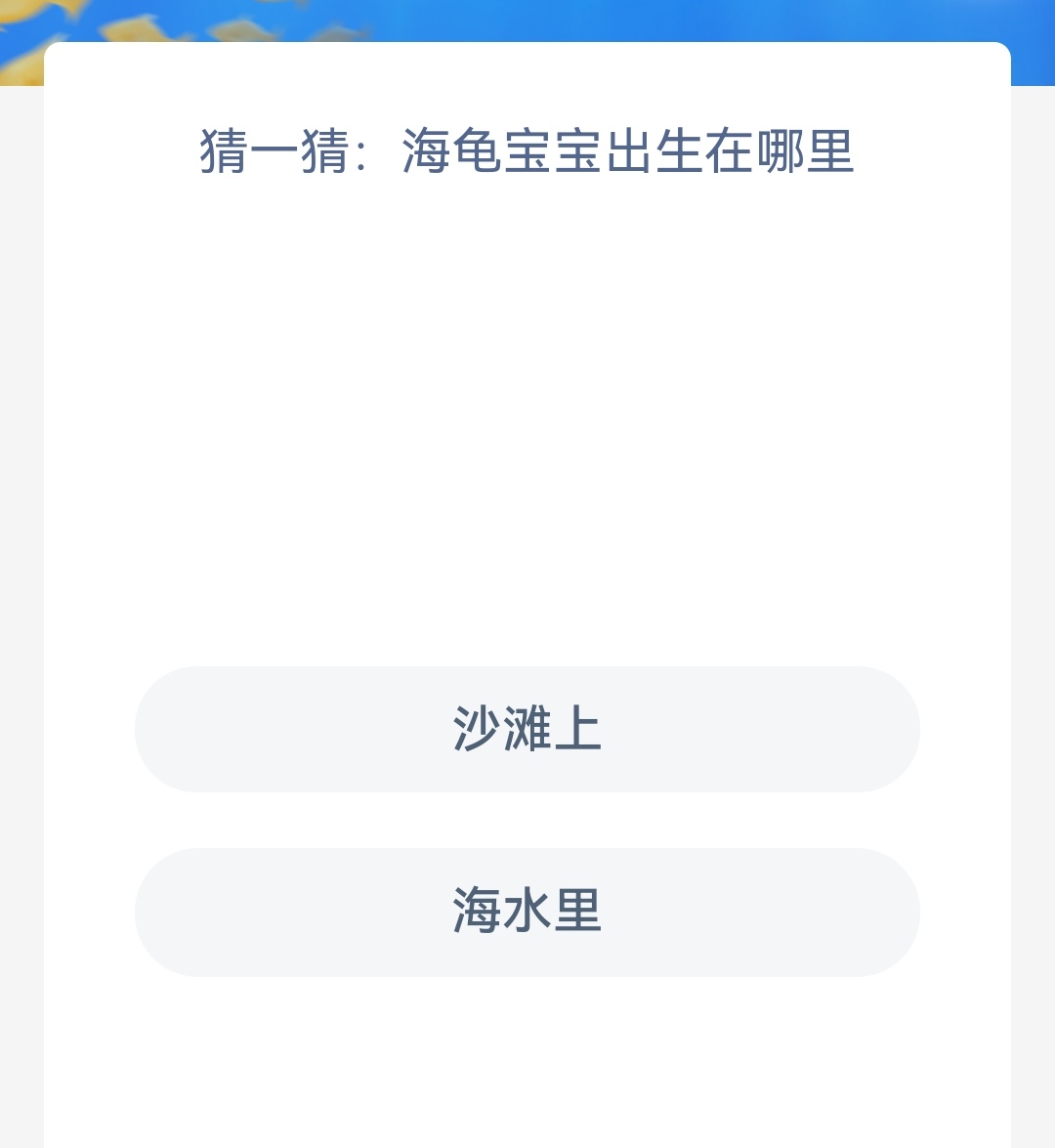 《神奇海洋》11.8猜一猜海龟宝宝出生在哪里