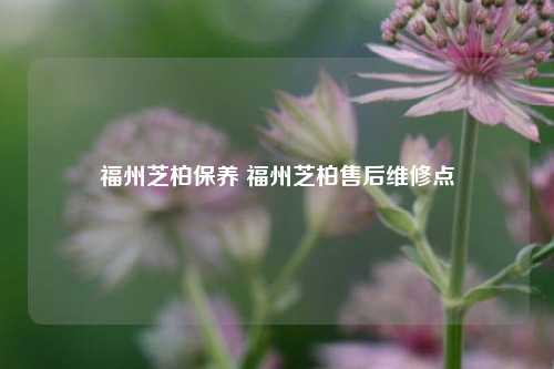 福州芝柏保养 福州芝柏售后维修点