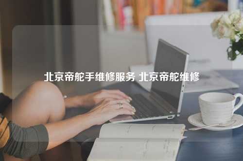 北京帝舵手维修服务 北京帝舵维修