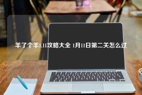 羊了个羊1.11攻略大全 1月11日第二关怎么过