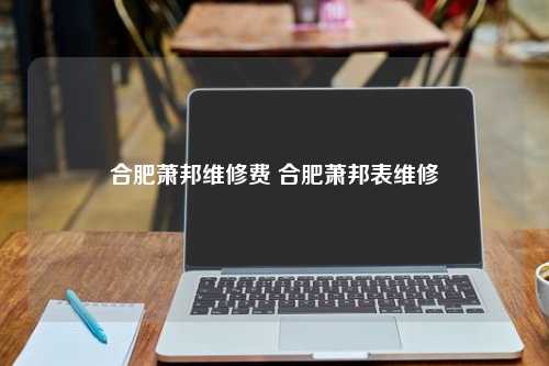 合肥萧邦维修费 合肥萧邦表维修